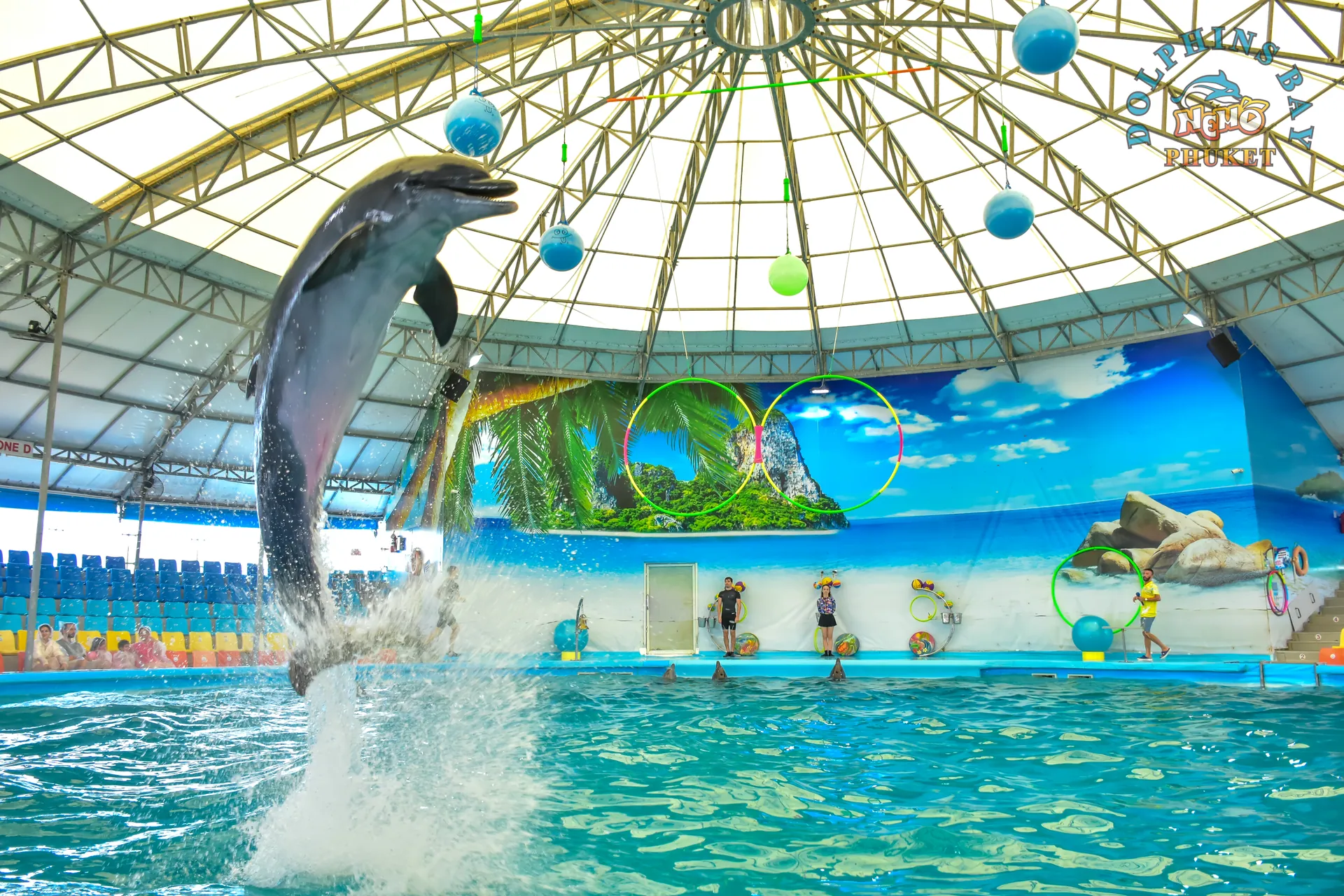 A dolphin leaping clear of the pool under the domed roof during the show at Dolphins Bay Phuket