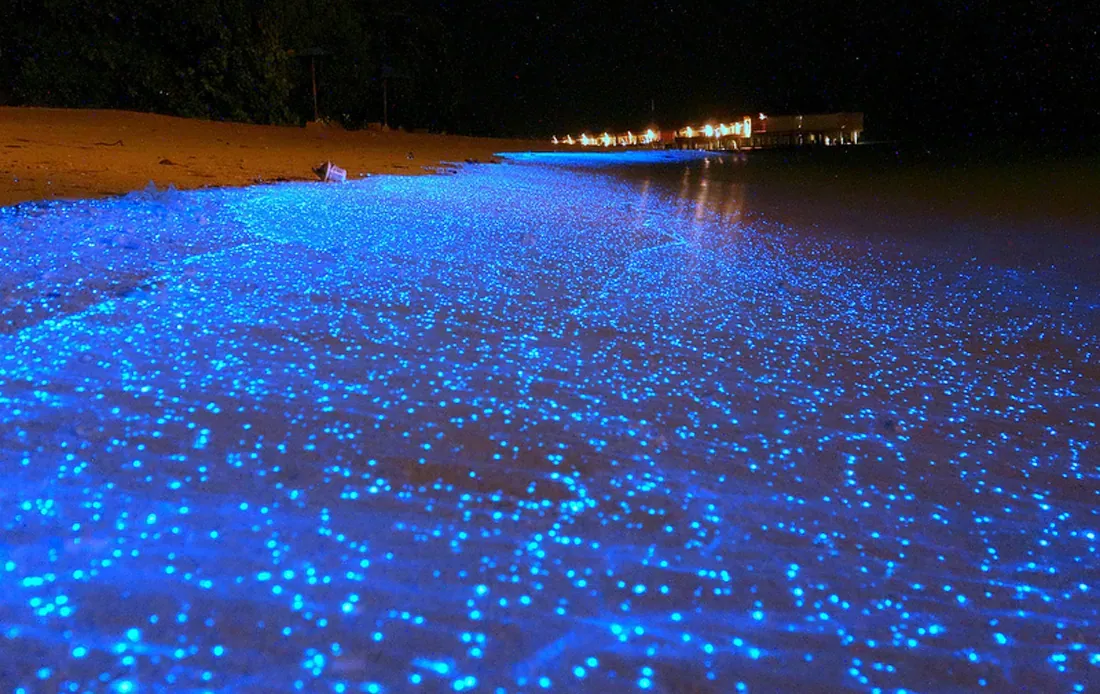 Bioluminescent plankton glowing blue along the shoreline at night on Krabi's seven-island sunset tour